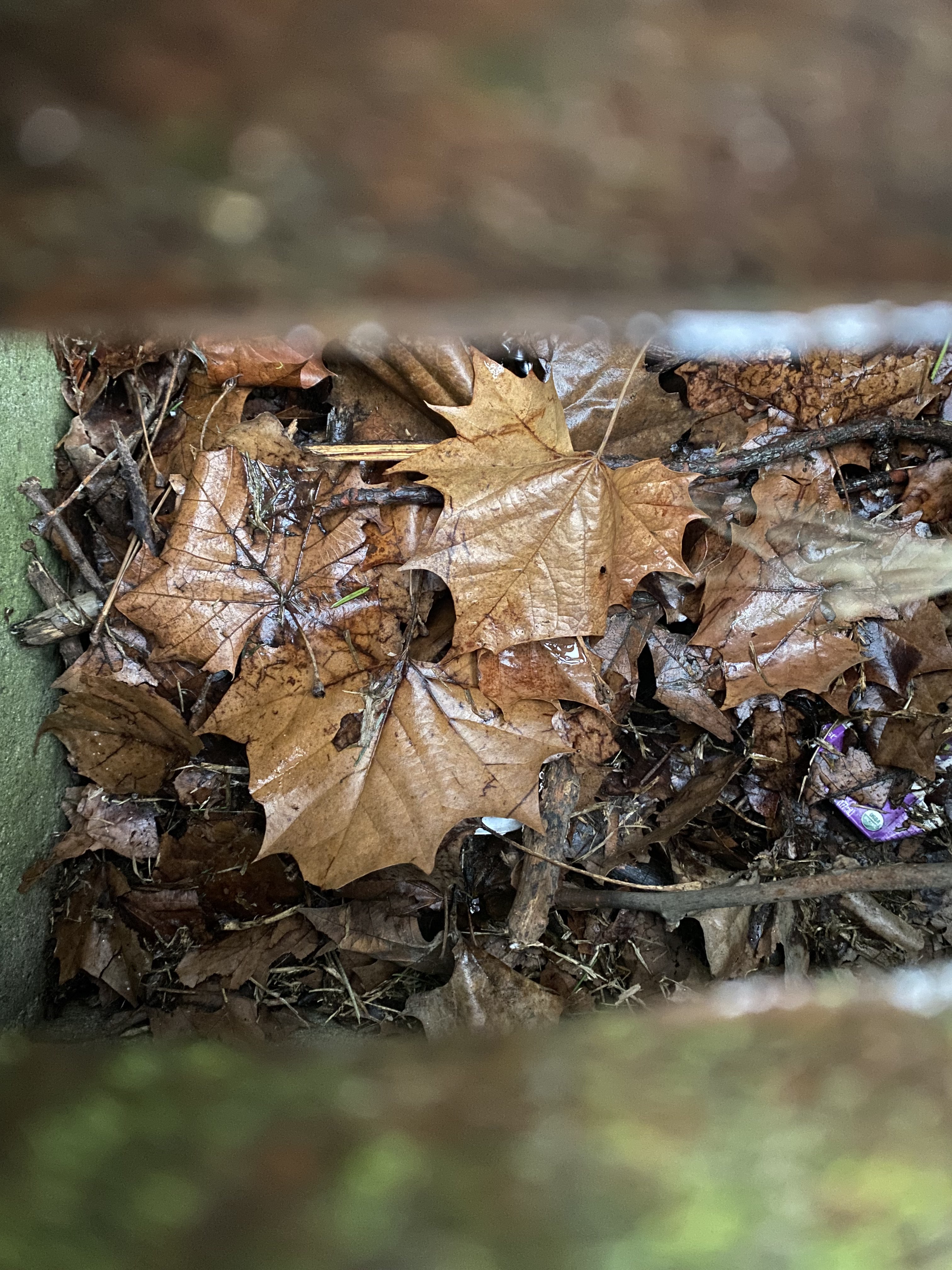 Storm Drain